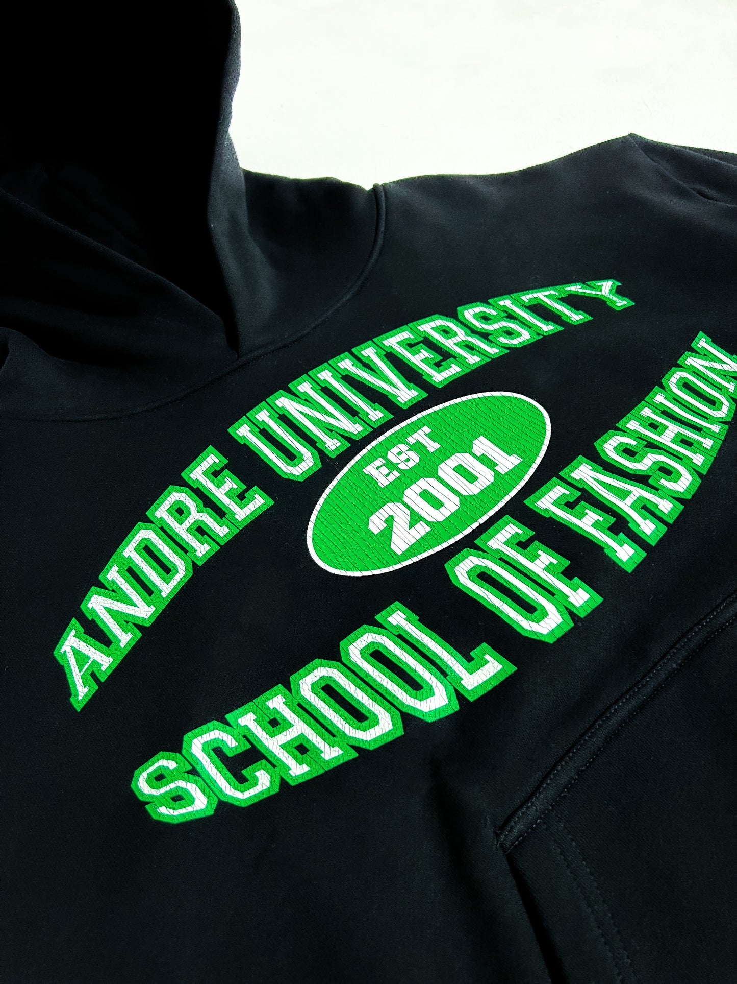 University School of Fashion Hoodie